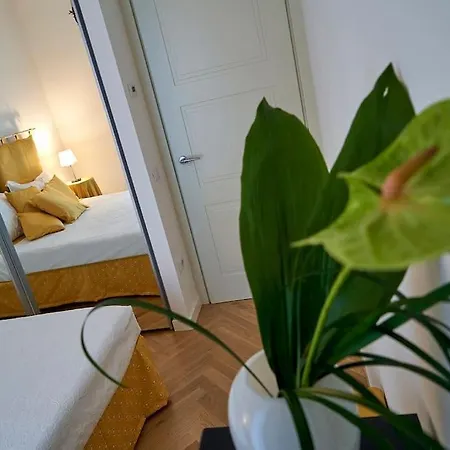 Liberty Dream, Fascino A