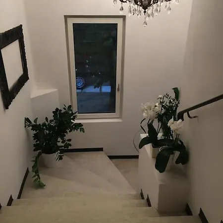 Liberty Dream, Fascino A