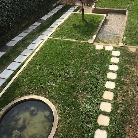 Liberty Dream, Fascino A Vicenza